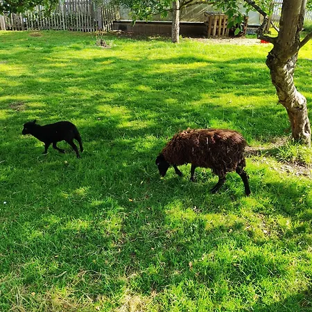 Casa vacanze Sessles Waldhaeuschen Dietzhausen *