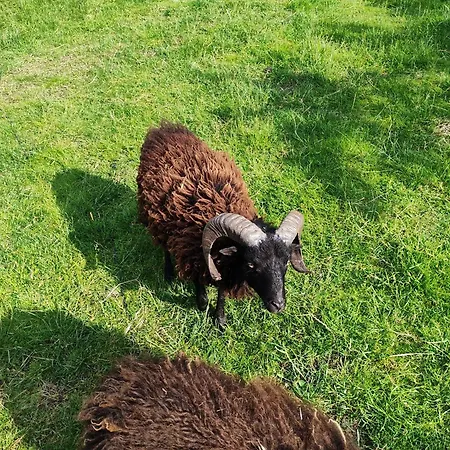 Sessles Waldhaeuschen Dietzhausen