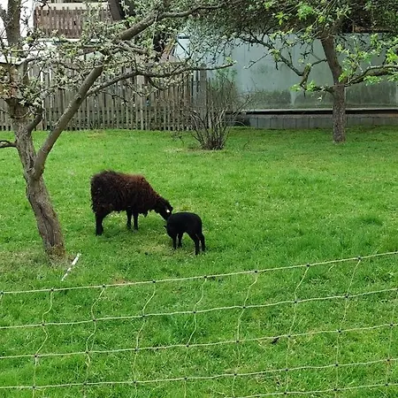 Casa de Férias Sessles Waldhaeusschen Dietzhausen *