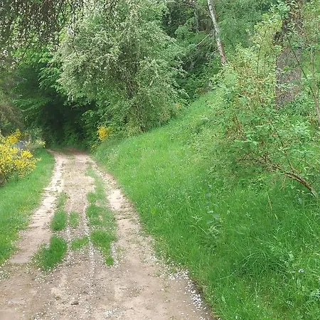 Sessles Waldhaeuschen Dietzhausen Casa vacanze Suhl