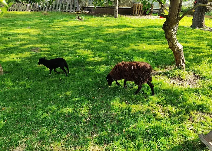 בית נופש Sessles Waldhaeuschen Dietzhausen *