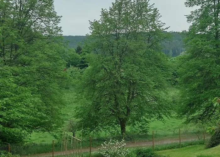 Sessles Waldhaeuschen Dietzhausen * זול