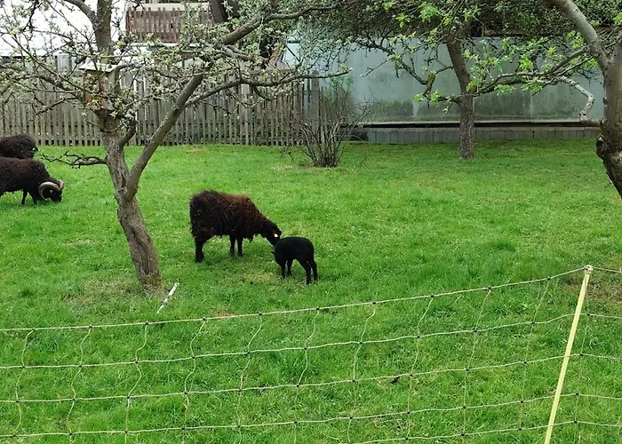 בית נופש Sessles Waldhaeuschen Dietzhausen *