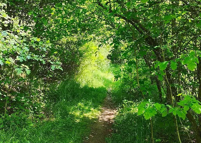 Sessles Waldhaeuschen Dietzhausen זול